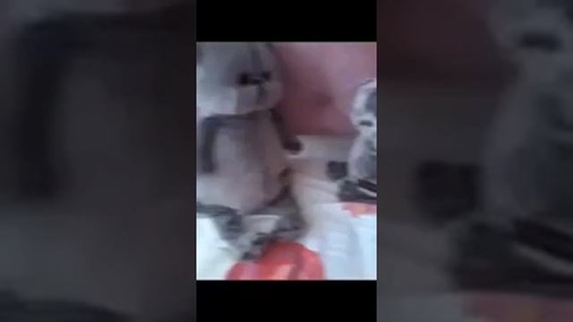 Челендж - день подруги смотреть онлайн