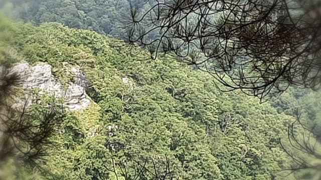 это было этим летом) может и осенью будет что то.. смотреть онлайн