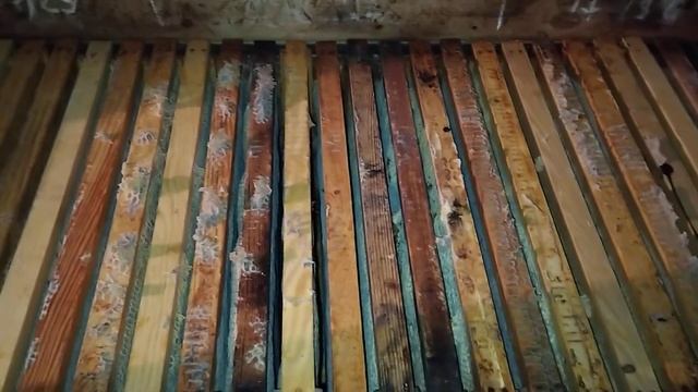 ЗОЛОТОЙ ЗАПАС и простое сотохранилище. смотреть онлайн