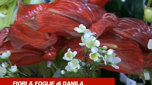 fiori e foglie смотреть онлайн