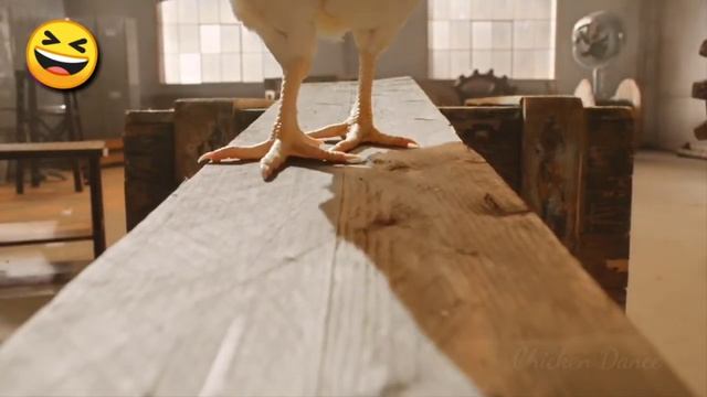 FUNNY CHICKEN DANCE 9 │ Chicken Song & Videos 2021 | Chicken Dance смотреть онлайн