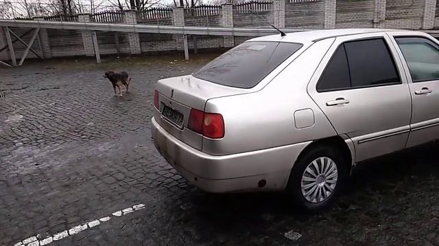 Chery Amulet смотреть онлайн