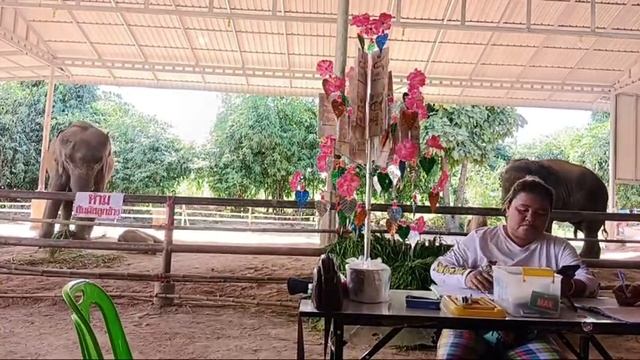 น้องดาวเอาบุญมาฝากเอฟซี смотреть онлайн