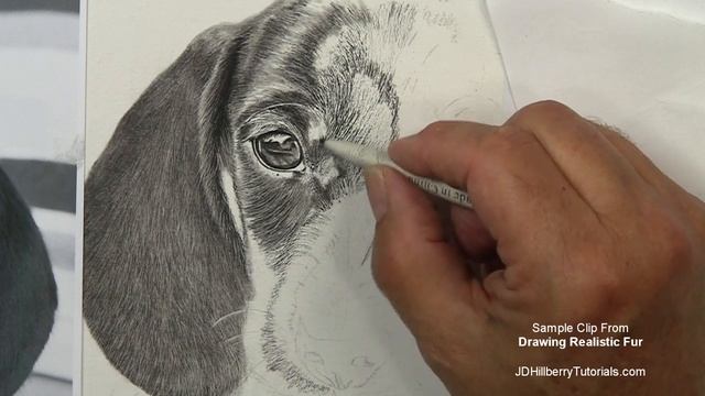 Drawing Realistic Fur Tutorial - Update смотреть онлайн