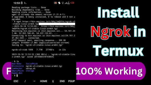Install & configure Ngrok in Termux | Fix All Errors смотреть онлайн