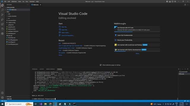 Error: Could not find the 'angular-devkit/build-angular:dev-server' builder's node package | Angula смотреть онлайн