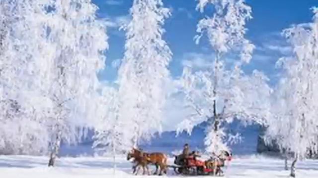 A Flute Tootin' Yule by Resonance Flute Consort смотреть онлайн