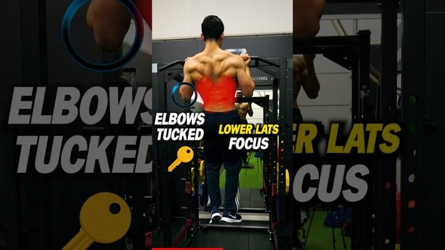 ?Chin-Ups VS Pull-Ups | Which Is Better?