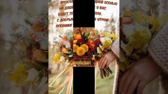 Листья жёлтые над городом кружатся! смотреть онлайн