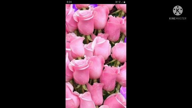 Changja agad git EDT photko ka.anaba смотреть онлайн