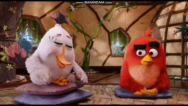 The Angry Birds Movie (2016): Anger Management Class Scene (DVD UK)