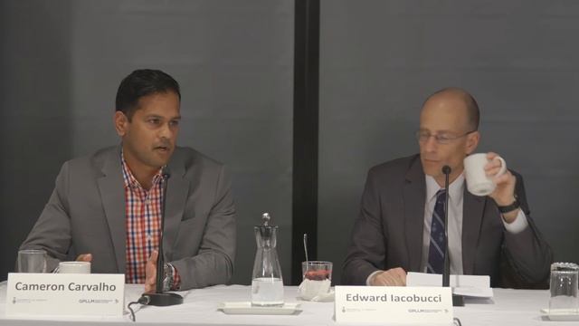 Global Professional LLM Breakfast Panel, May 2016 смотреть онлайн