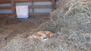 #МотоМаня получила ремкомплект. Ремонт стеклопластиковой лодки.