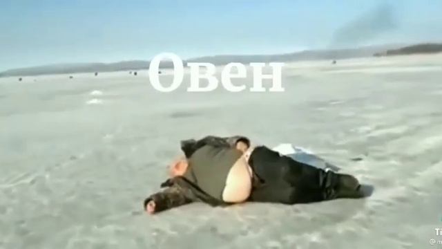 телец ♉ лох смотреть онлайн