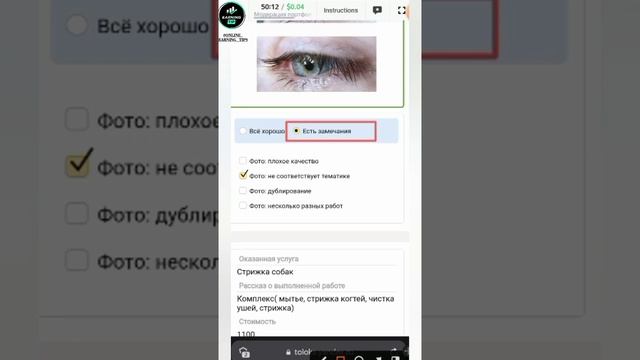 Модерация портфолио: фото #youtube #ytstudio #toloka #answer #exam #earnmoneyonline смотреть онлайн
