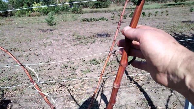 1.10.22.Вызревание лозы. смотреть онлайн