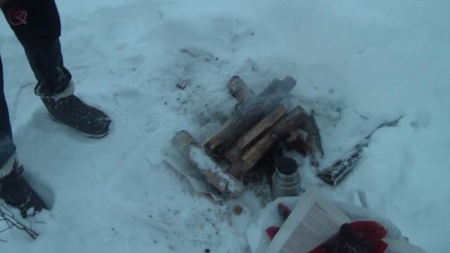 рыбалка лес