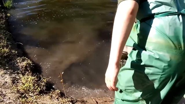 Бредень. Первый опыт.