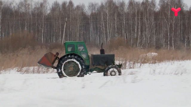 НЕСПЕЦИАЛЬНЫЙ КОРРЕСПОНДЕНТ. ВЫПУСК#8 ВЕСЕЛАЯ ГРИВА - «Утро с Вами» 13.03.2020 смотреть онлайн