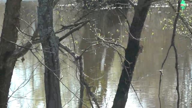 У Рыбацкого Костра ,,2часть" смотреть онлайн