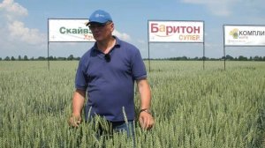 Озимая пшеница: технология возделывания и защиты. Дни Поля - 2020.