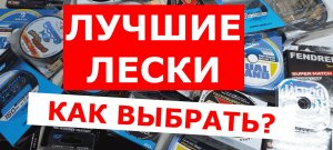 ЛУЧШИЕ ЛЕСКИ! КАК ВЫБРАТЬ ЛЕСКУ ДЛЯ ПОВОДКА И ОСНОВУ?