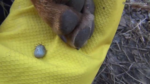 Мастерство и Личное Искусство