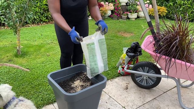 Garden With Me | Creating Fall Containers With Flowers From The Backyard  // The Swiss Garden