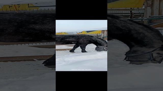 потеплело, -29С..