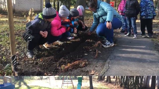 Посадка тюльпанов "Как прекрасен наш тюлпан" смотреть онлайн
