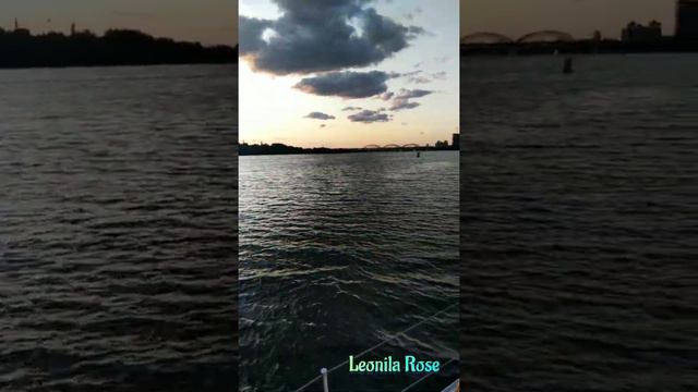 "МЕЧТА"🎤🌹От Leonila Rose смотреть онлайн