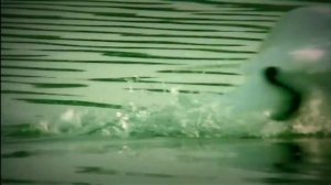 Эн люкиське — Николай Анисимов | Удмурт кырӟан / Удмуртская песня