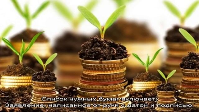 Мастерство и Индивидуальность