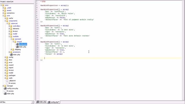 VisionCart: Dynamic module config (for developers) смотреть онлайн