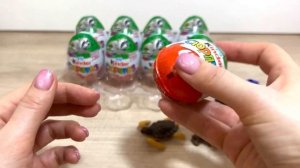 Киндер Сюрприз NATOONS 2023! Новая серия?! Игрушки, Сюрпризы, Животные, Kinder Surprise unboxing!