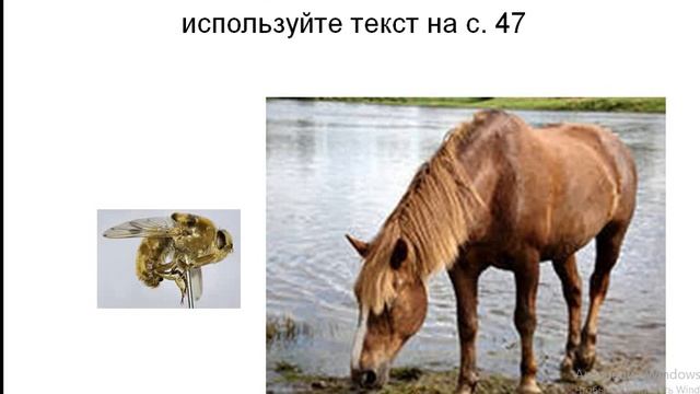 24.10.2020. Основы светской этики. 4 класс. Туделева С.В. смотреть онлайн