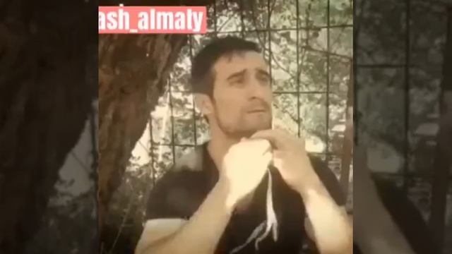 Свистяший язык смотреть онлайн
