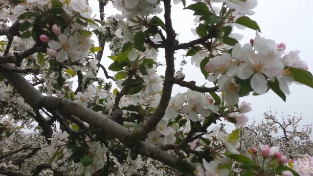 Это Весна смотреть онлайн