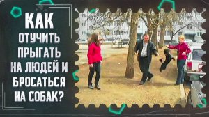 Как отучить прыгать на людей и бросаться на собак(один из способов)