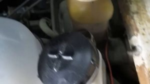 Вода под водительским ковриком.