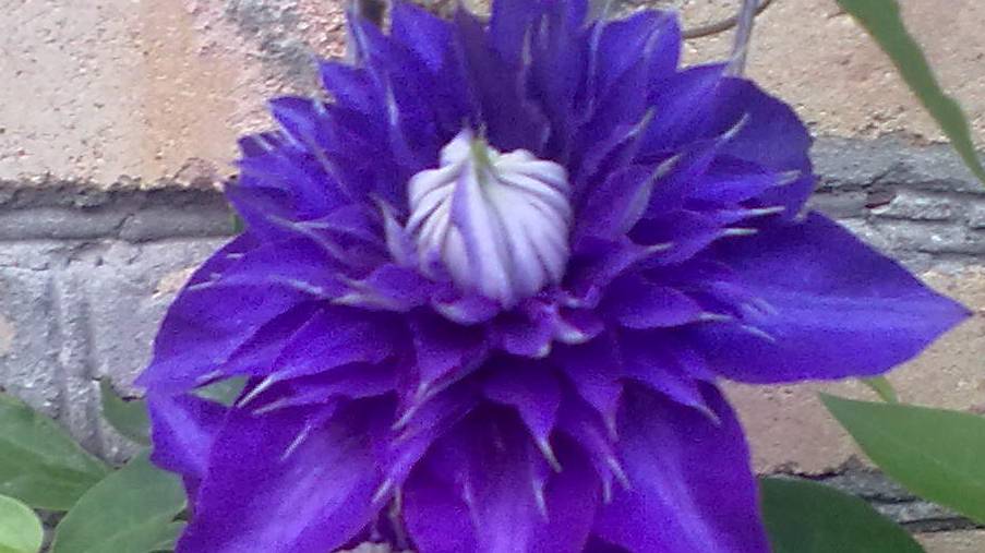 Ремонт на любимой  даче.