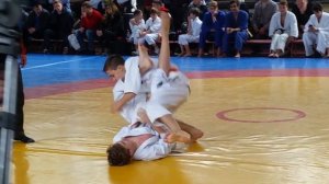 Джиуджитсу читать описание!