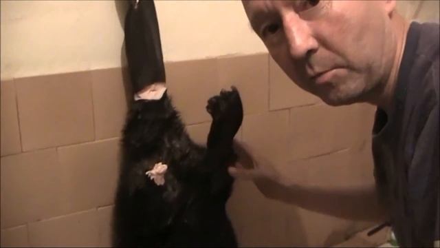 Охота . Крупный бобер . смотреть онлайн