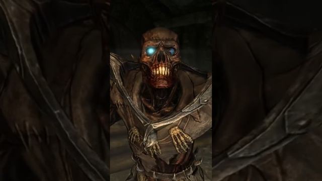 Самый редкий вид Драугров в Скайрим! #mrcatgame #skyrim #elderscrolls #скайрим #tes5 смотреть онлайн