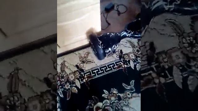 Гироскутер смотреть онлайн