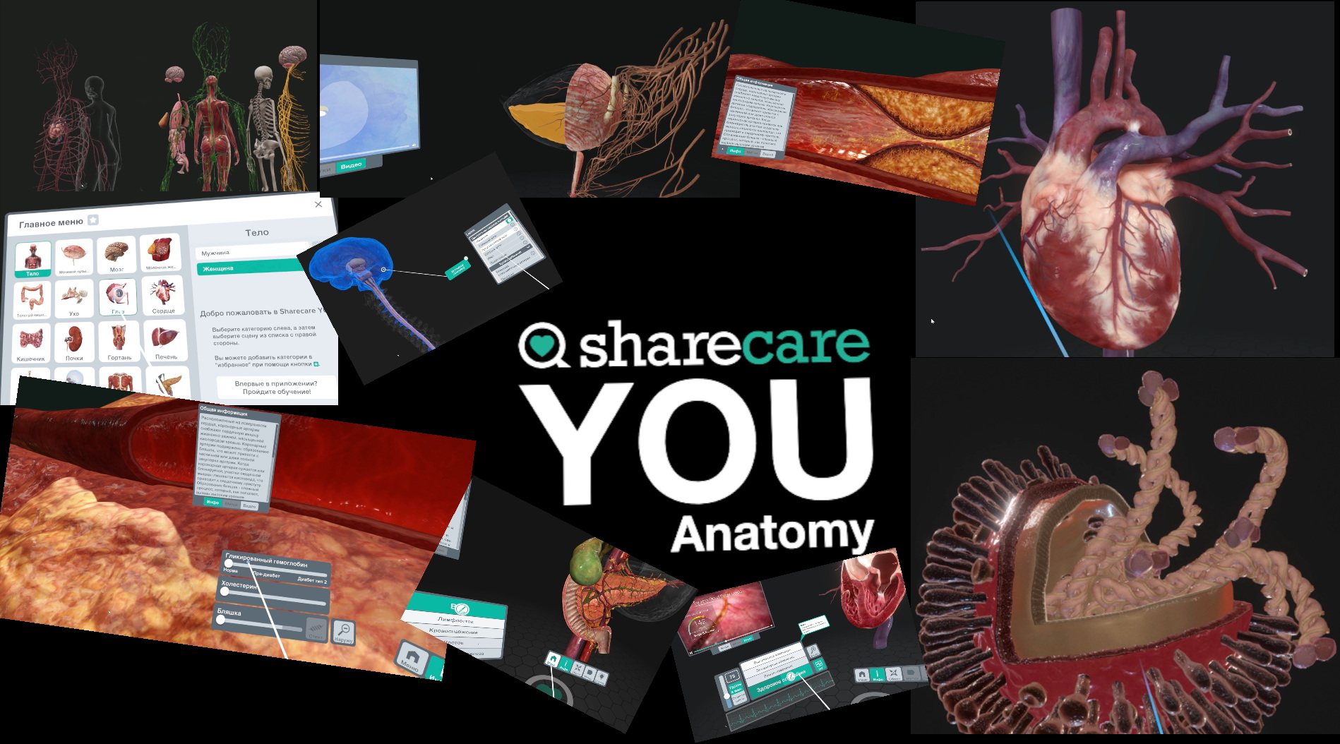 Виртуальная анатомия.Sharecare YOU.Anatomy.VR смотреть онлайн