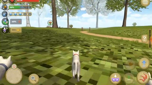 ОБНОВЛЕНИЕ В СИМУЛЯТОРЕ КОТА И КОШКИ!2 НОВЫХ ПОРОДЫ И КЛУБКИ #12 смотреть онлайн