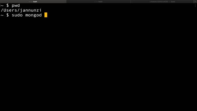 Starting Mongo DB cs4550 sp20 12201 смотреть онлайн