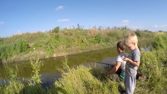Моя лучшая рыбалка. Ловим сазанчика, карася, уклейку на червя в небольшой протоки смотреть онлайн