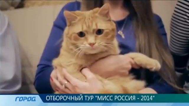 Мисс России смотреть онлайн